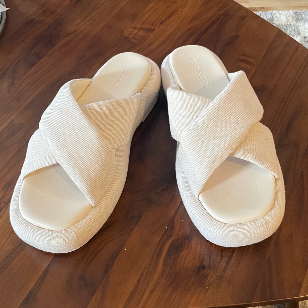 Coach Penelope logo canvas slides
